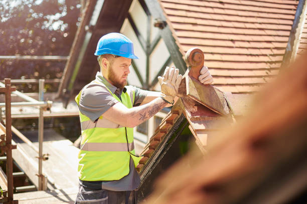 Professional Roofing Contractor in Blakely, GA